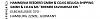 Bold-address-2.jpg